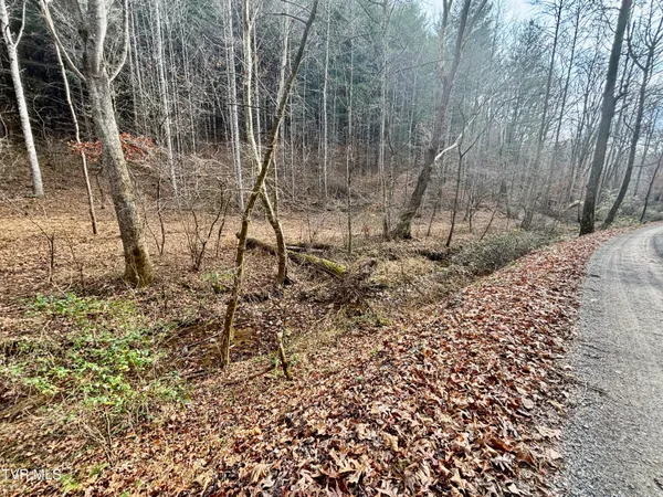 $180,000 | Tbd Yellow Branch Road, Rose Hill, VA 24281