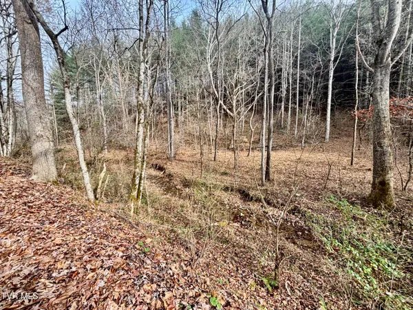 $180,000 | Tbd Yellow Branch Road, Rose Hill, VA 24281