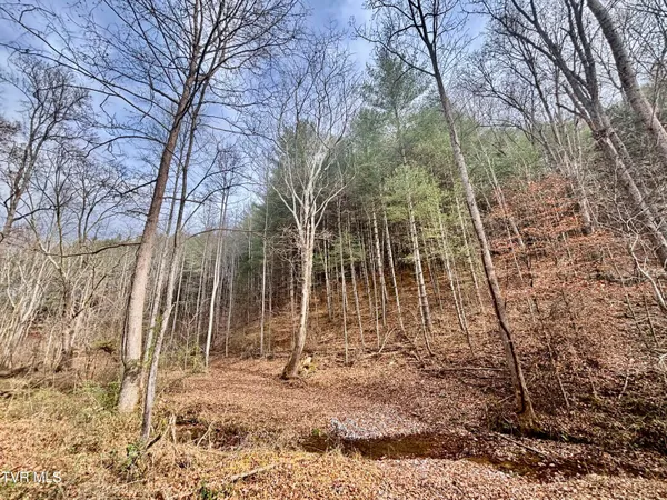 $180,000 | Tbd Yellow Branch Road, Rose Hill, VA 24281