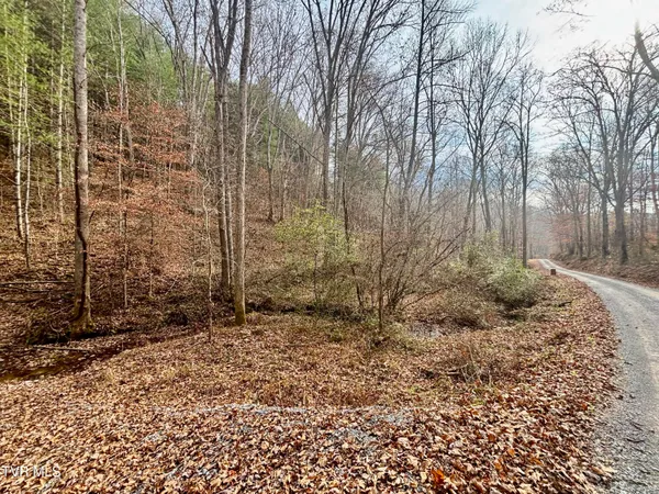 $180,000 | Tbd Yellow Branch Road, Rose Hill, VA 24281