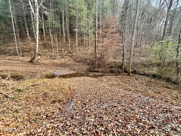 $180,000 | Tbd Yellow Branch Road, Rose Hill, VA 24281