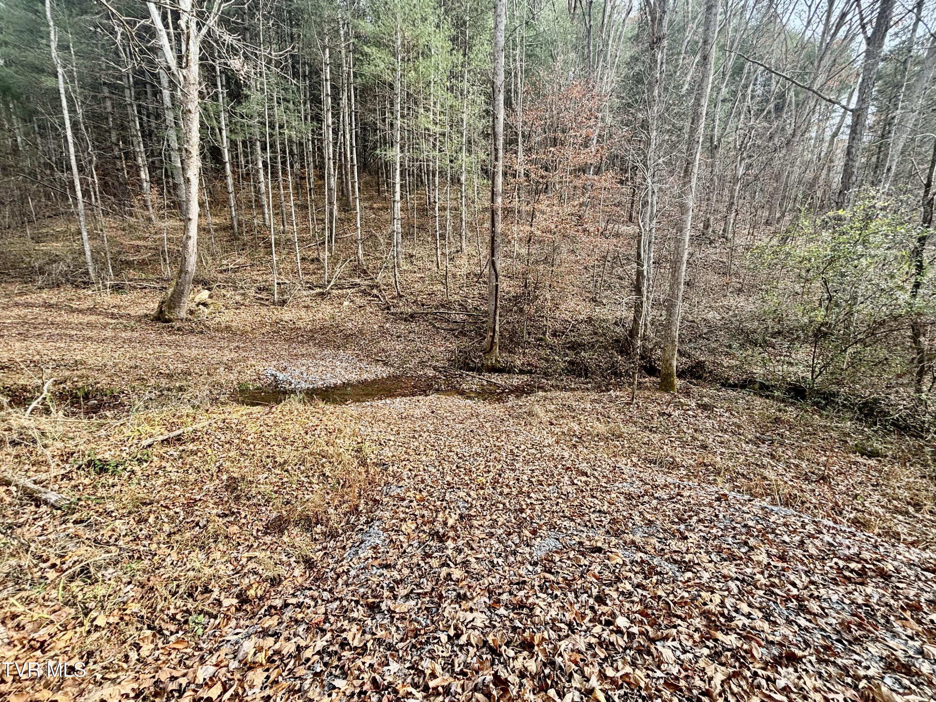 Tbd Yellow Branch Road Rose Hill, VA 24281 - Photo 9 of 10 IMG_4362