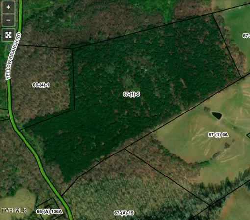 $180,000 | Tbd Yellow Branch Road, Rose Hill, VA 24281