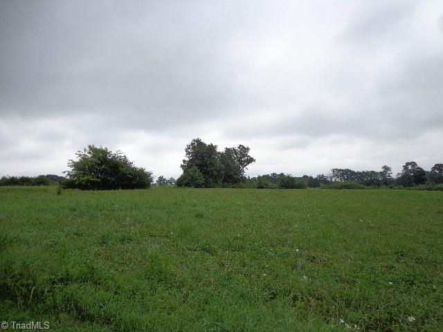 3738 Holly Spring Road Ramseur, NC 27316 - Photo 21 of 22 View of Land