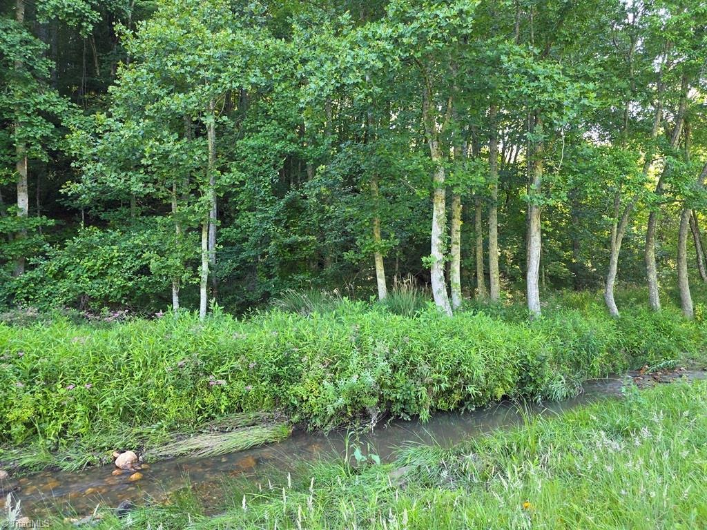 3205 Sheets Gap Road Millers Creek, NC 28651 - Photo 19 of 46