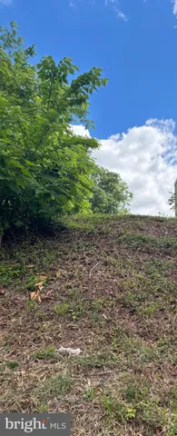 a view of a yard with an ocean