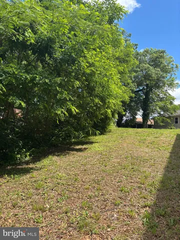 a view of yard with green space