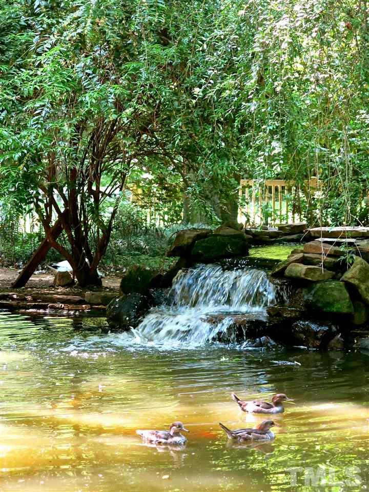 a view of a swimming pool with a garden