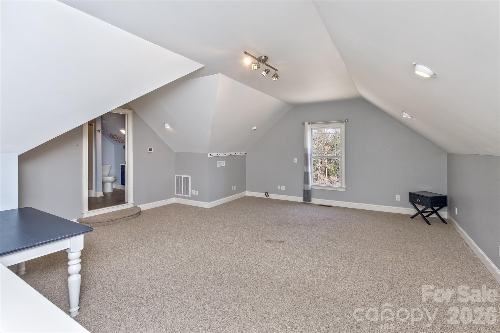 378 Collinsville Road Columbus, NC 28722 - Photo 30 of 48