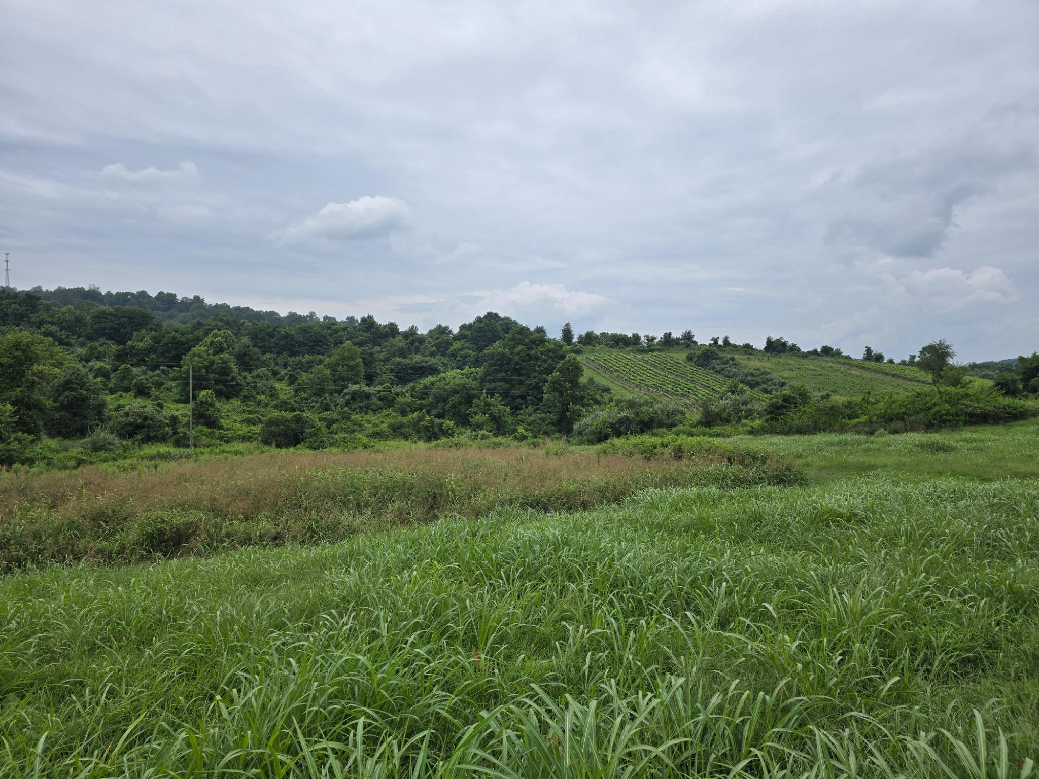 3238 Railstop Road Markham, VA 22643 - Photo 30 of 33 a view of a field of grass and trees