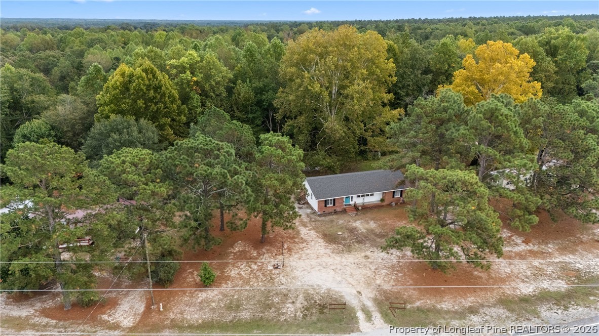 29844 North Turnpike Road Wagram, NC 28396 - Photo 3 of 43