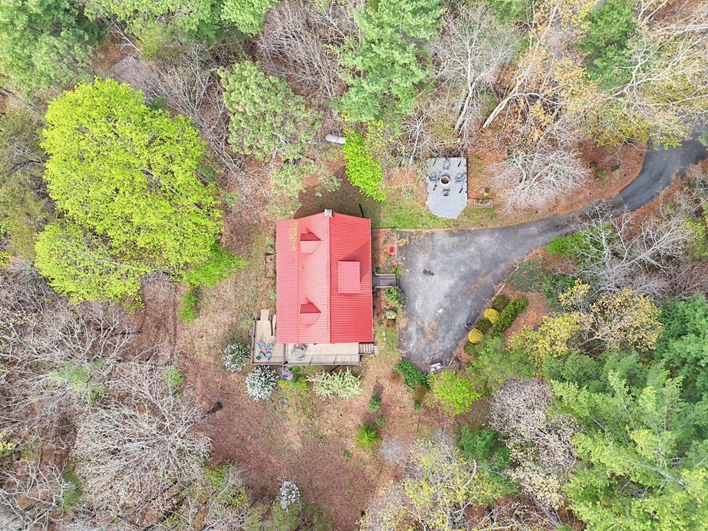 4609 Matheson Road Hiawassee, GA 30546 - Photo 49 of 57 a sign that is sitting in the middle of a forest