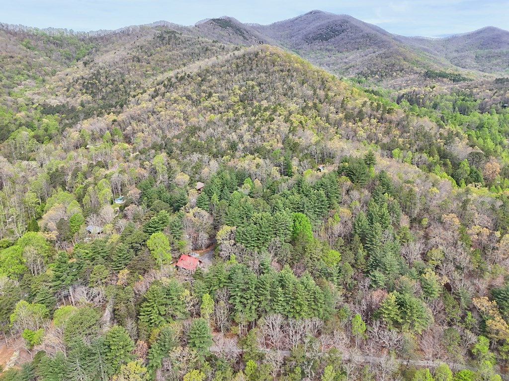 4609 Matheson Road Hiawassee, GA 30546 - Photo 51 of 57 a view of a lush green field with mountains in the background