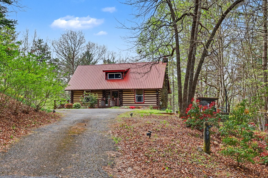 4609 Matheson Road Hiawassee, GA 30546 - Photo 6 of 57 a view of a house with a yard and large trees