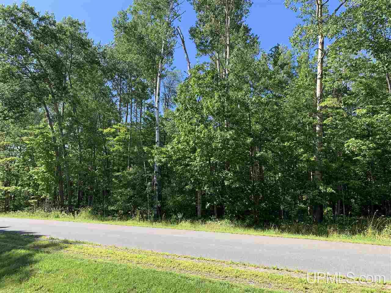 6 Indian Cemetery Road Lanse, MI 49946 - Photo 2 of 16