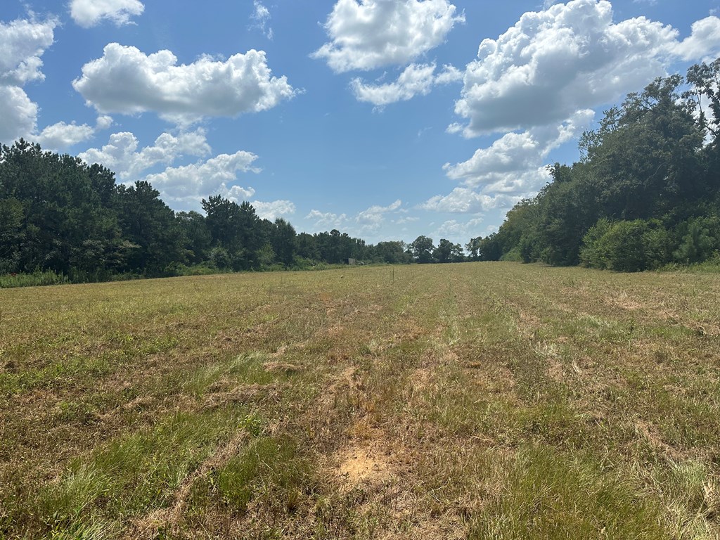 0 Thomley Road Newton, AL 36352 - Photo 7 of 8