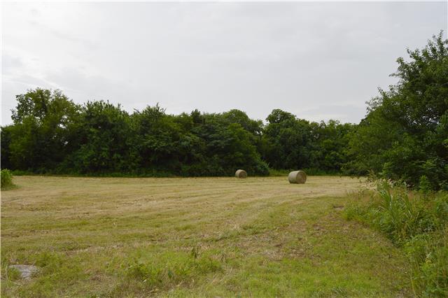 2015 Long Distance Road Lewisburg, TN 37091 - Photo 4 of 20 Cut hay or enjoy the wildlife.
