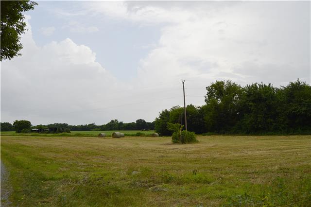 2015 Long Distance Road Lewisburg, TN 37091 - Photo 6 of 20 Great for hunting!