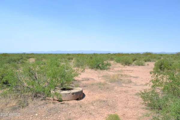 a view of a bathtub in a dry yard