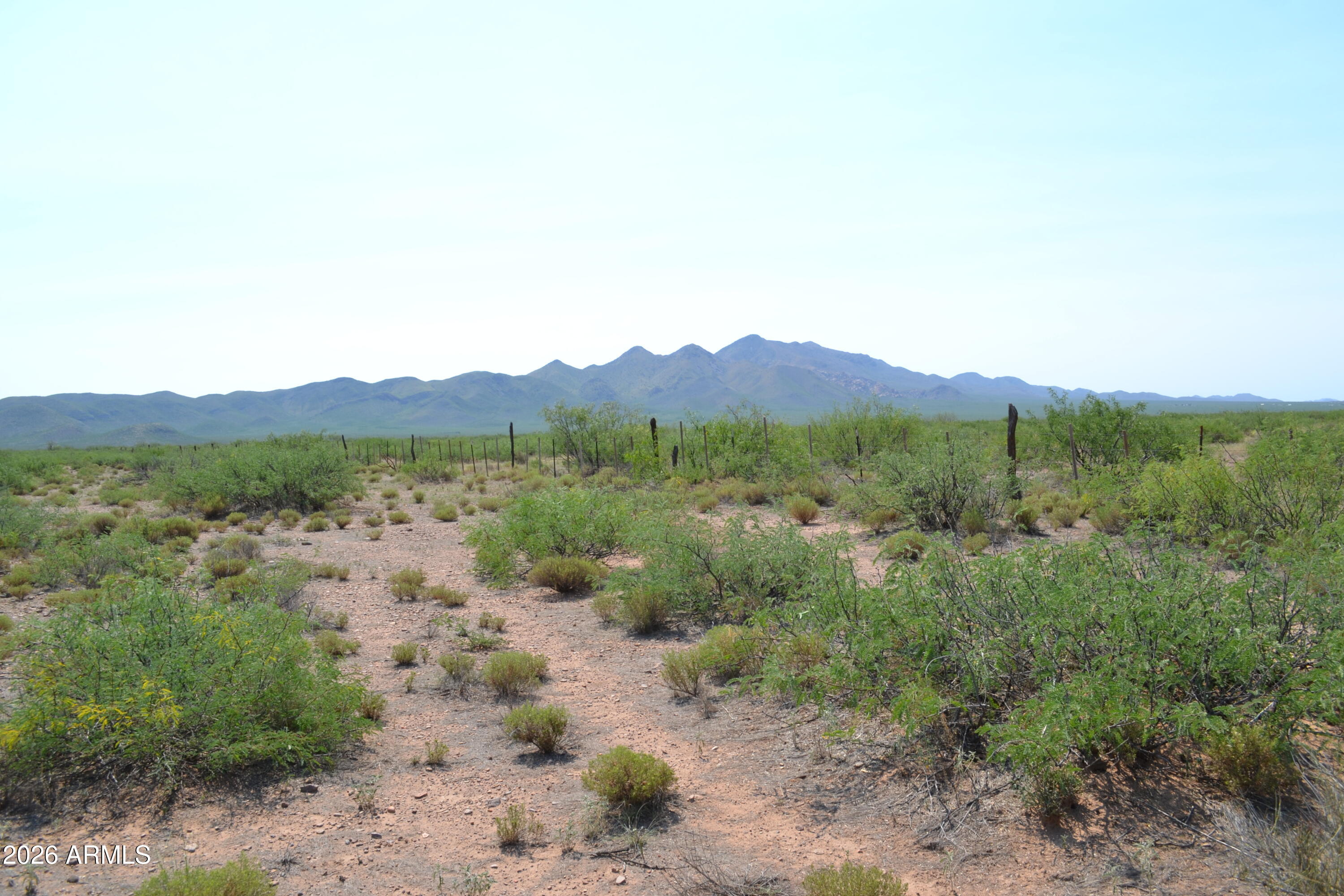 Tbd West Aqua Blanca Road Elfrida, AZ 85610 - Photo 17 of 33 a view of a lush green field with mountains in the background