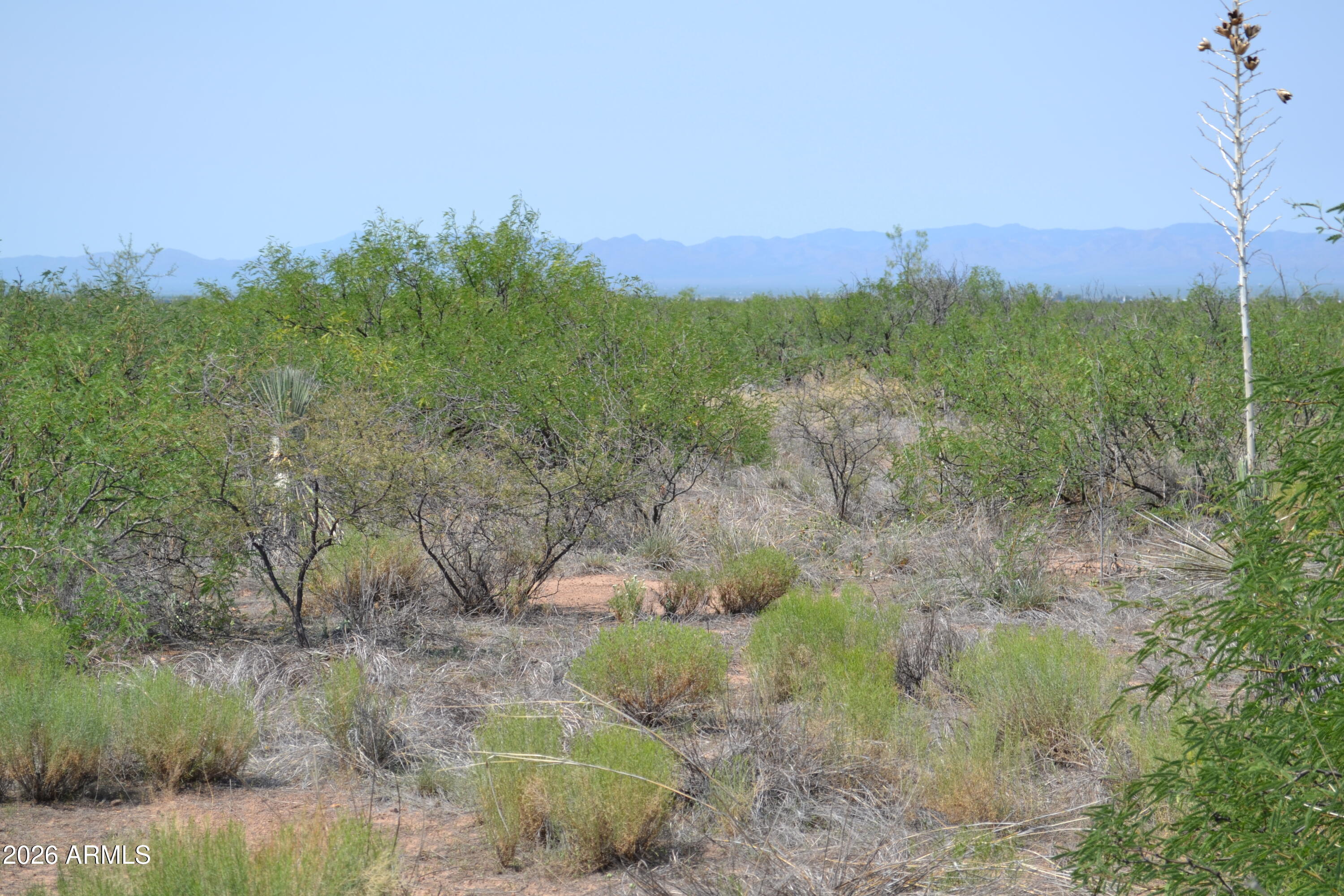 Tbd West Aqua Blanca Road Elfrida, AZ 85610 - Photo 23 of 33 a view of a lake in middle of forest