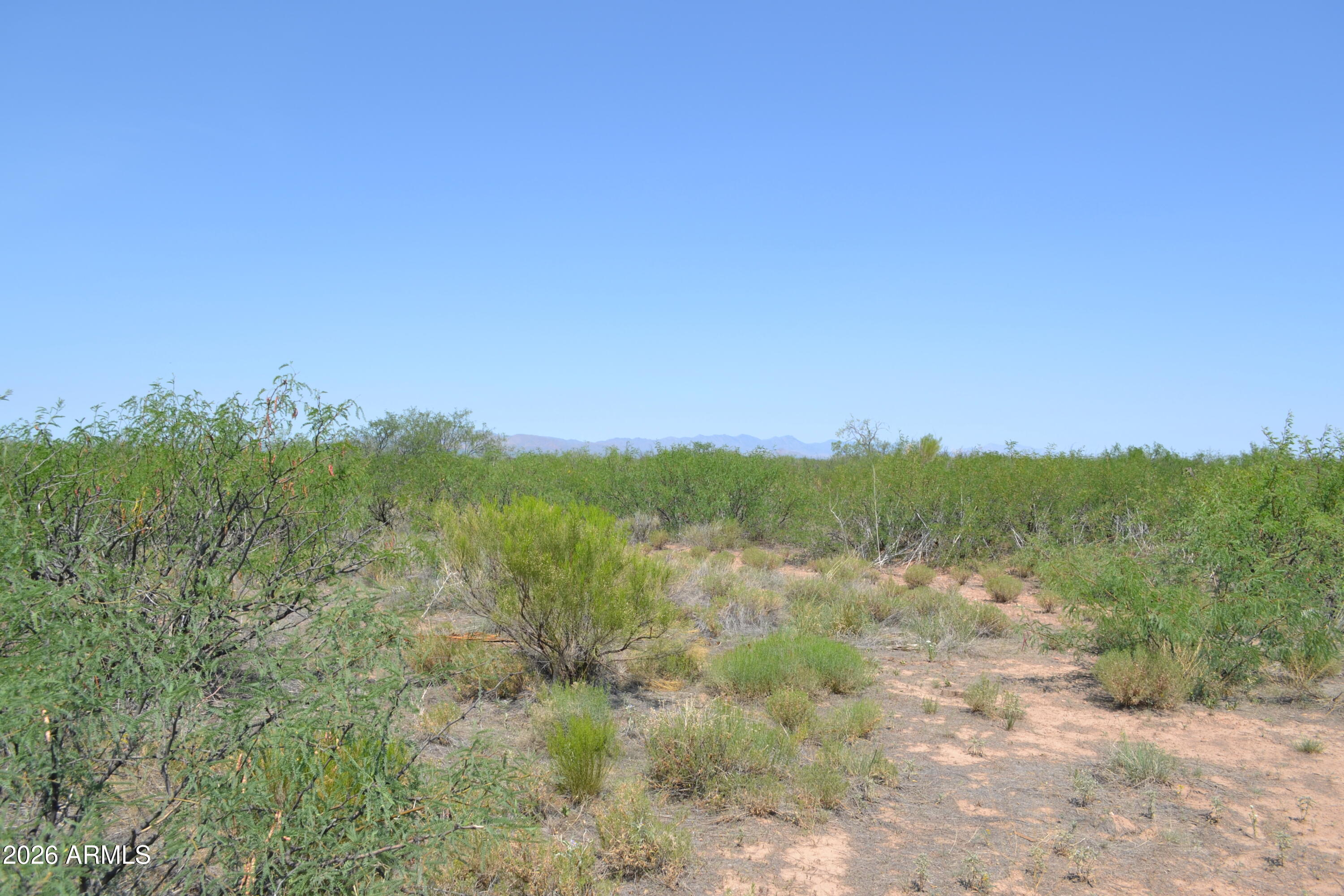 Tbd West Aqua Blanca Road Elfrida, AZ 85610 - Photo 25 of 33 a view of a forest with trees in the background