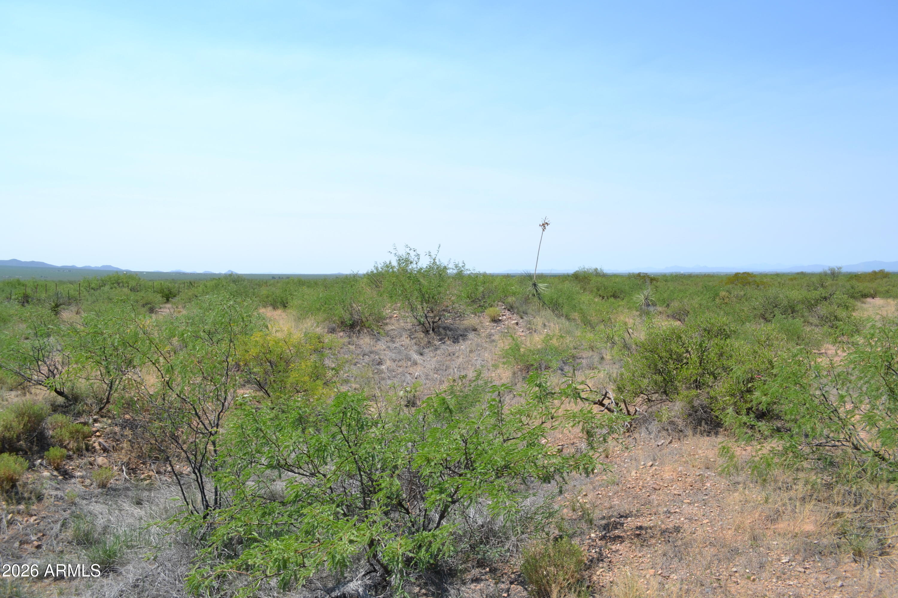 Tbd West Aqua Blanca Road Elfrida, AZ 85610 - Photo 27 of 33 a view of a green field with lots of bushes