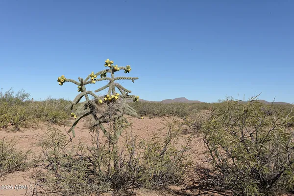 $745,000 | Tbd West Aqua Blanca Road, Elfrida, AZ 85610