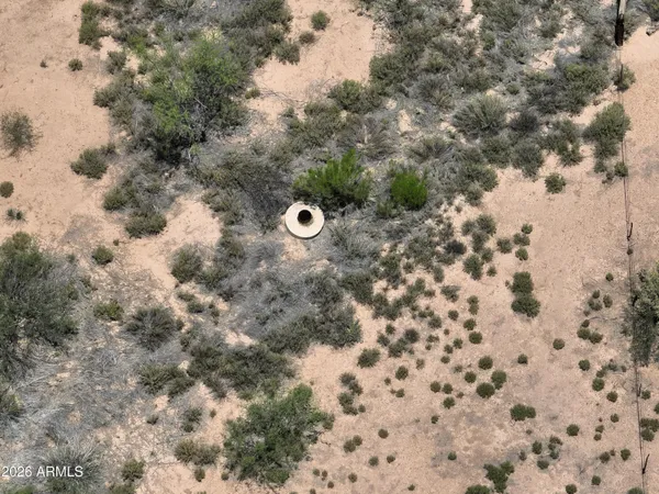 a backyard of a house with a yard and large trees