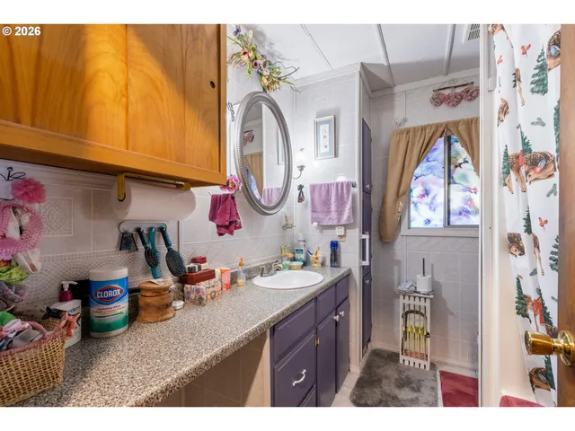 a bathroom with a sink mirror and vanity