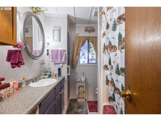a bathroom with a sink vanity and a mirror