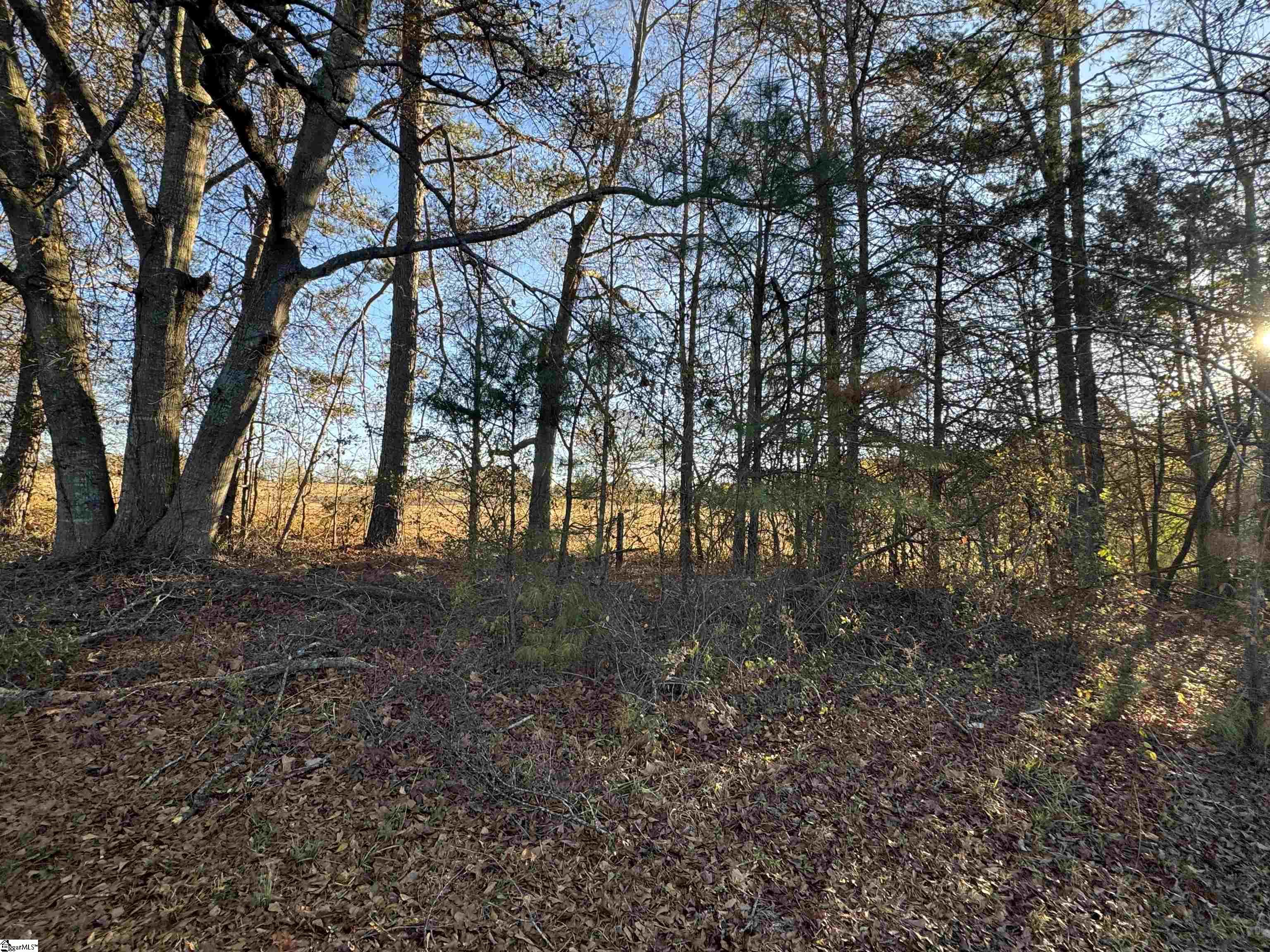 119 Pendleton Woods Circle Central, SC 29630 - Photo 2 of 25