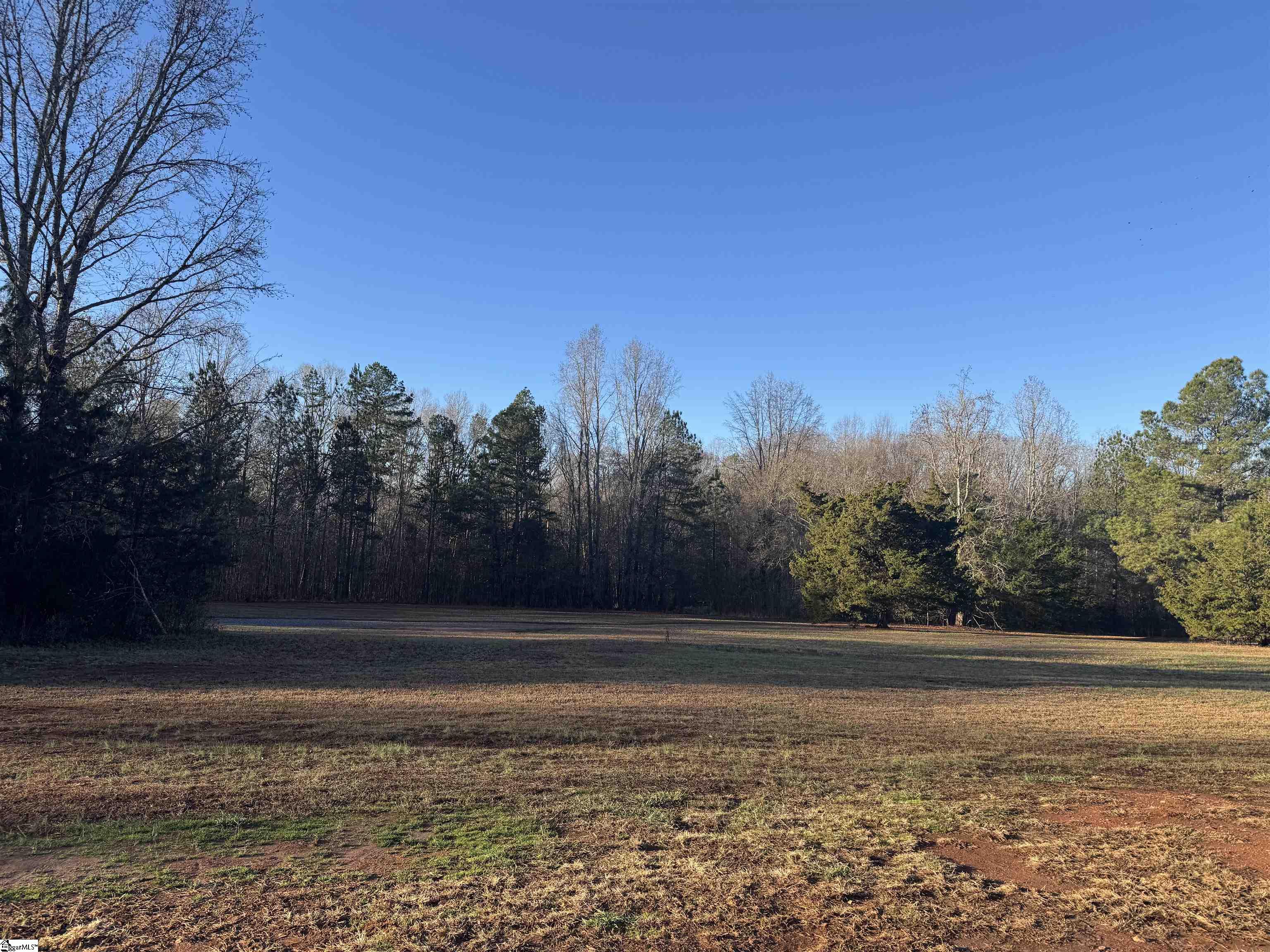 119 Pendleton Woods Circle Central, SC 29630 - Photo 4 of 25