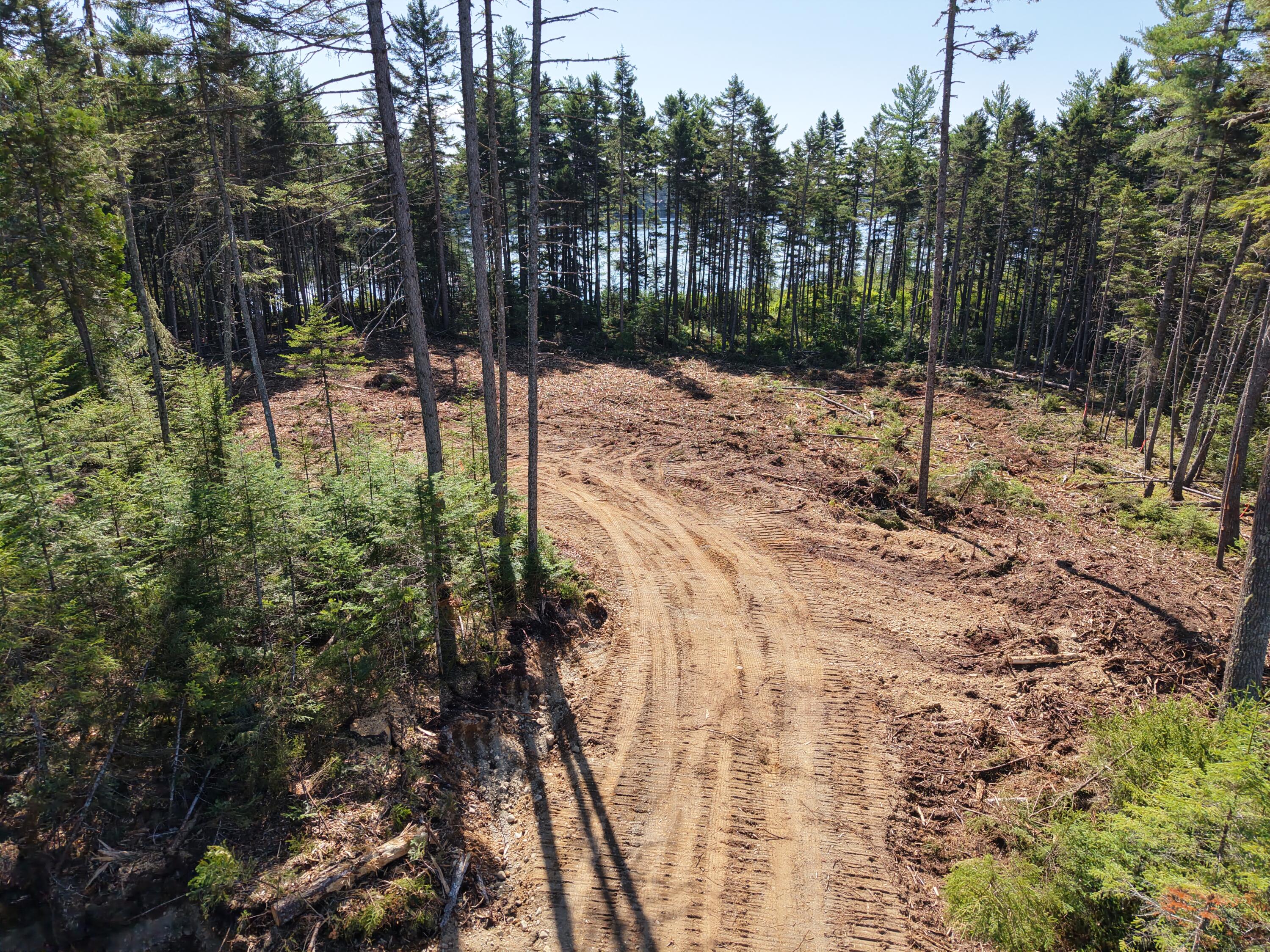 Ms03-l17.3 Middle Carry Pond Road New Portland, ME 04961 - Photo 15 of 25 DJI_20260821101253_0010_D