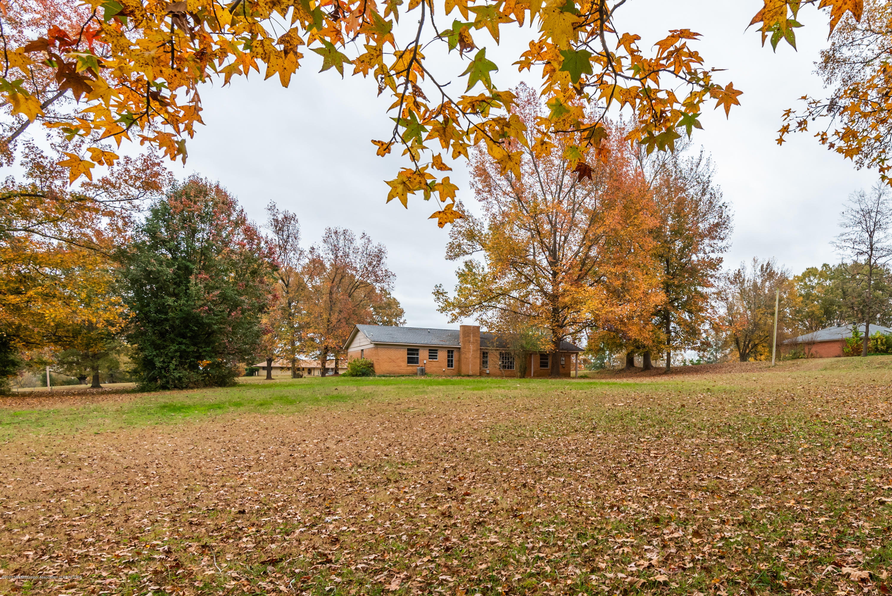 225 Dixie Hill Road Hernando, MS 38632 - Photo 11 of 29 DSC_2416