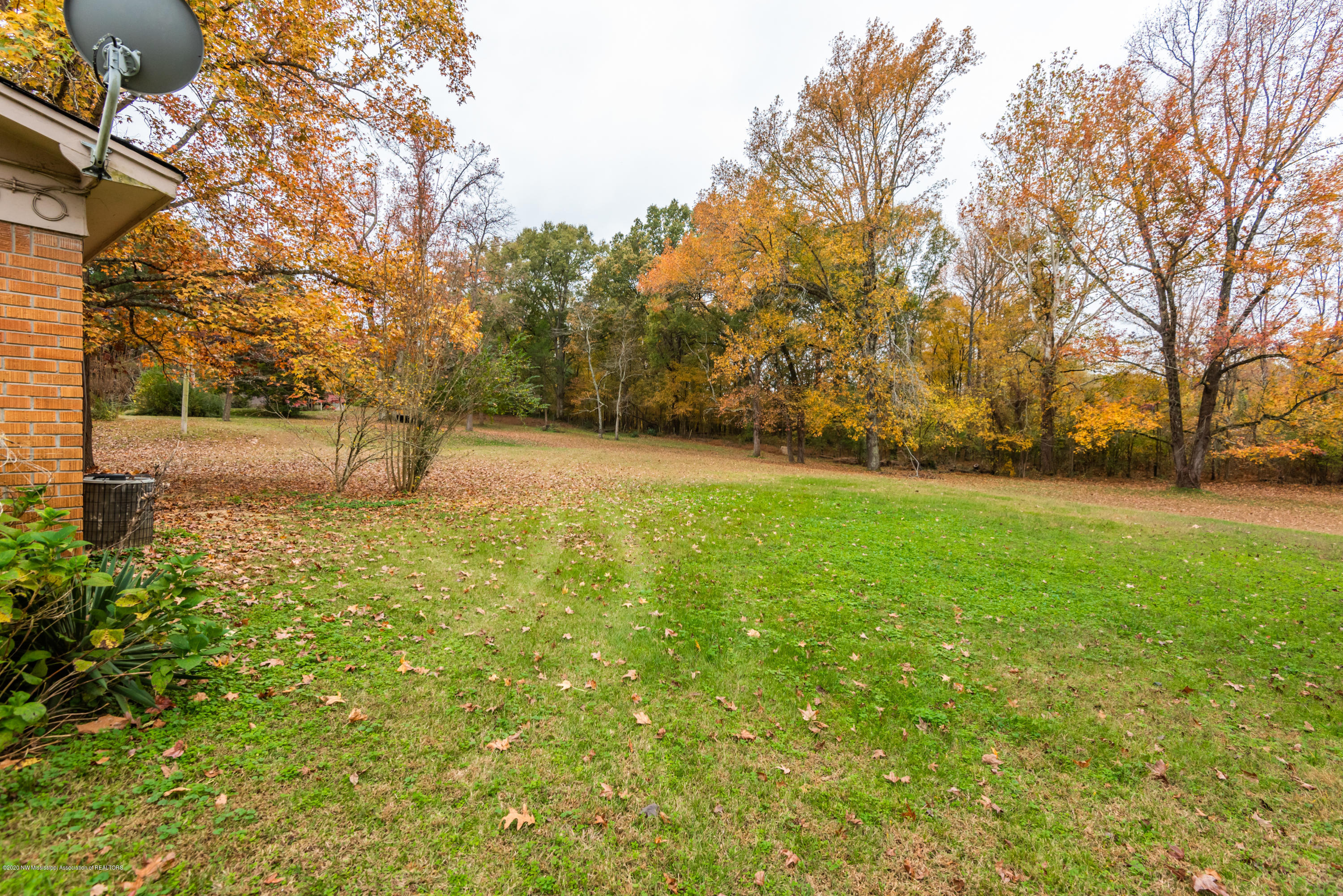 225 Dixie Hill Road Hernando, MS 38632 - Photo 8 of 29 DSC_2414