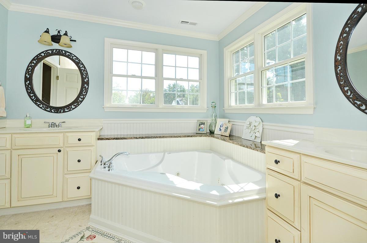 14324 Cuba Road Cockeysville, MD 21030 - Photo 15 of 30 Bath (Master)