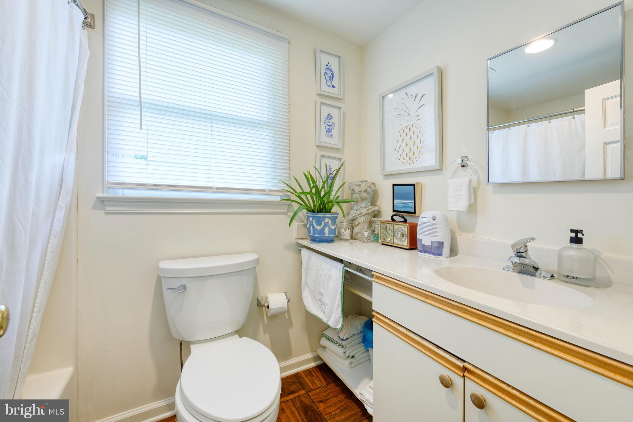 33195 Millville Road Upperville, VA 20184 - Photo 41 of 76 Full bath and apartment has a stackable W/D
