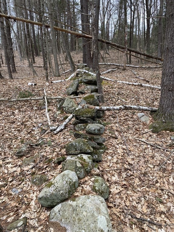 0 Mountain Road Gill, MA 01354 - Photo 8 of 10 a backyard of a house with lots of green space