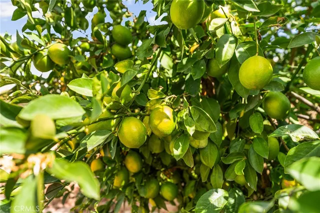 $490,000 | 949 Pebble Beach Road, Beaumont, CA 92223