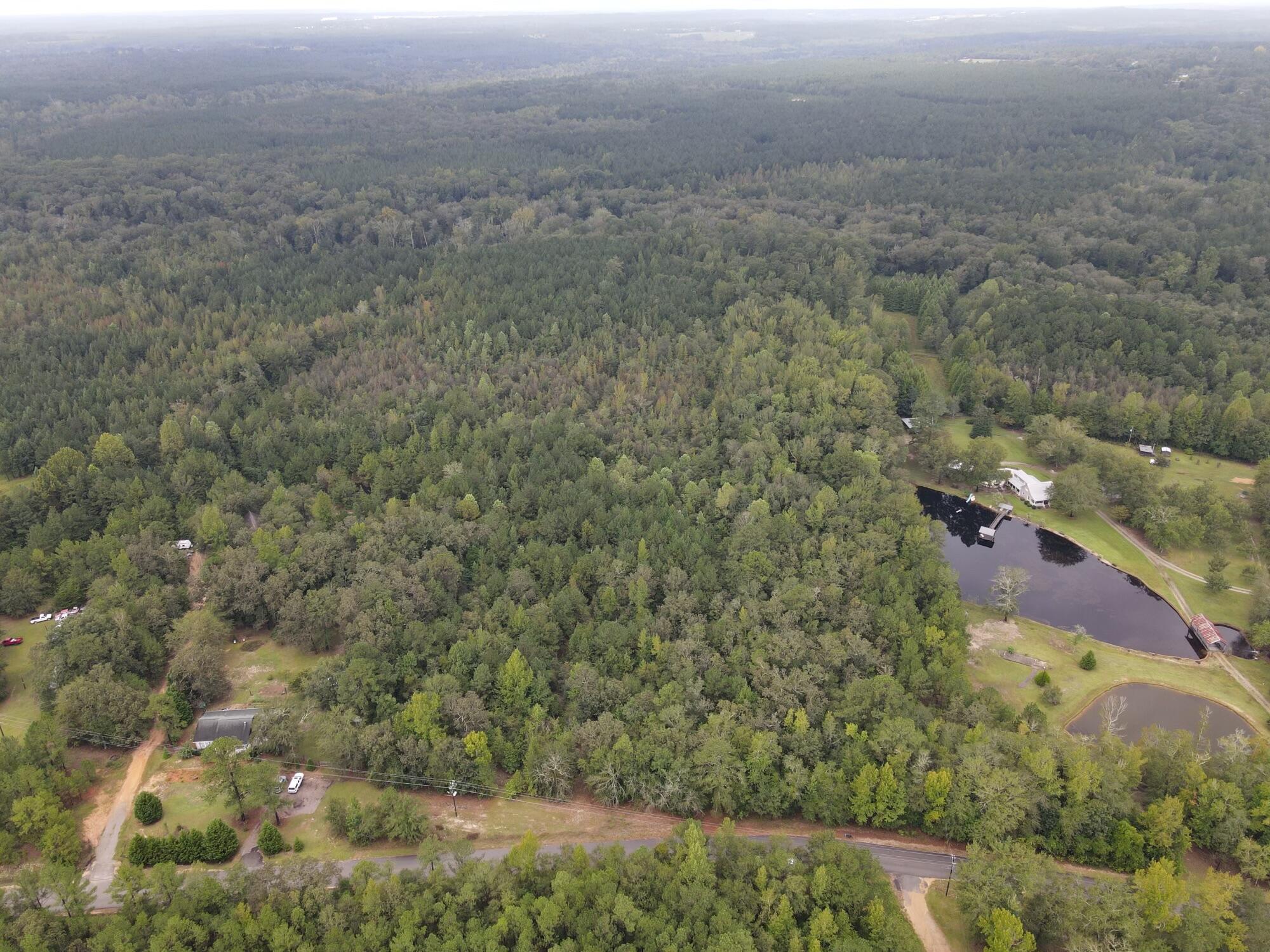 0 Cumbee Trail Road Ridge Spring, SC 29129 - Photo 2 of 5