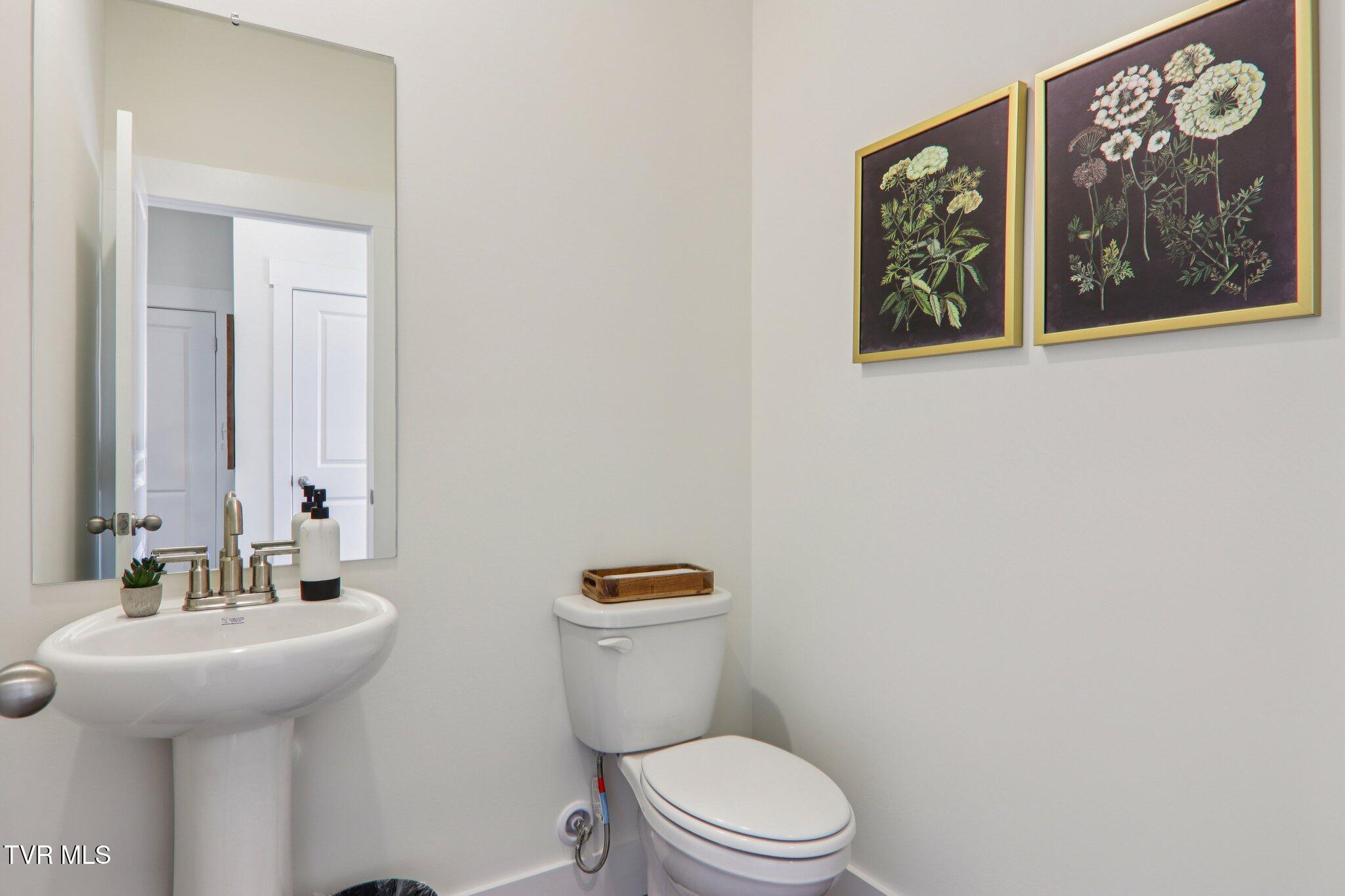 591 Fieldcrest Road Blountville, TN 37617 - Photo 25 of 47 29-web-or-mls-Chimney Vw Lp-S0511-029