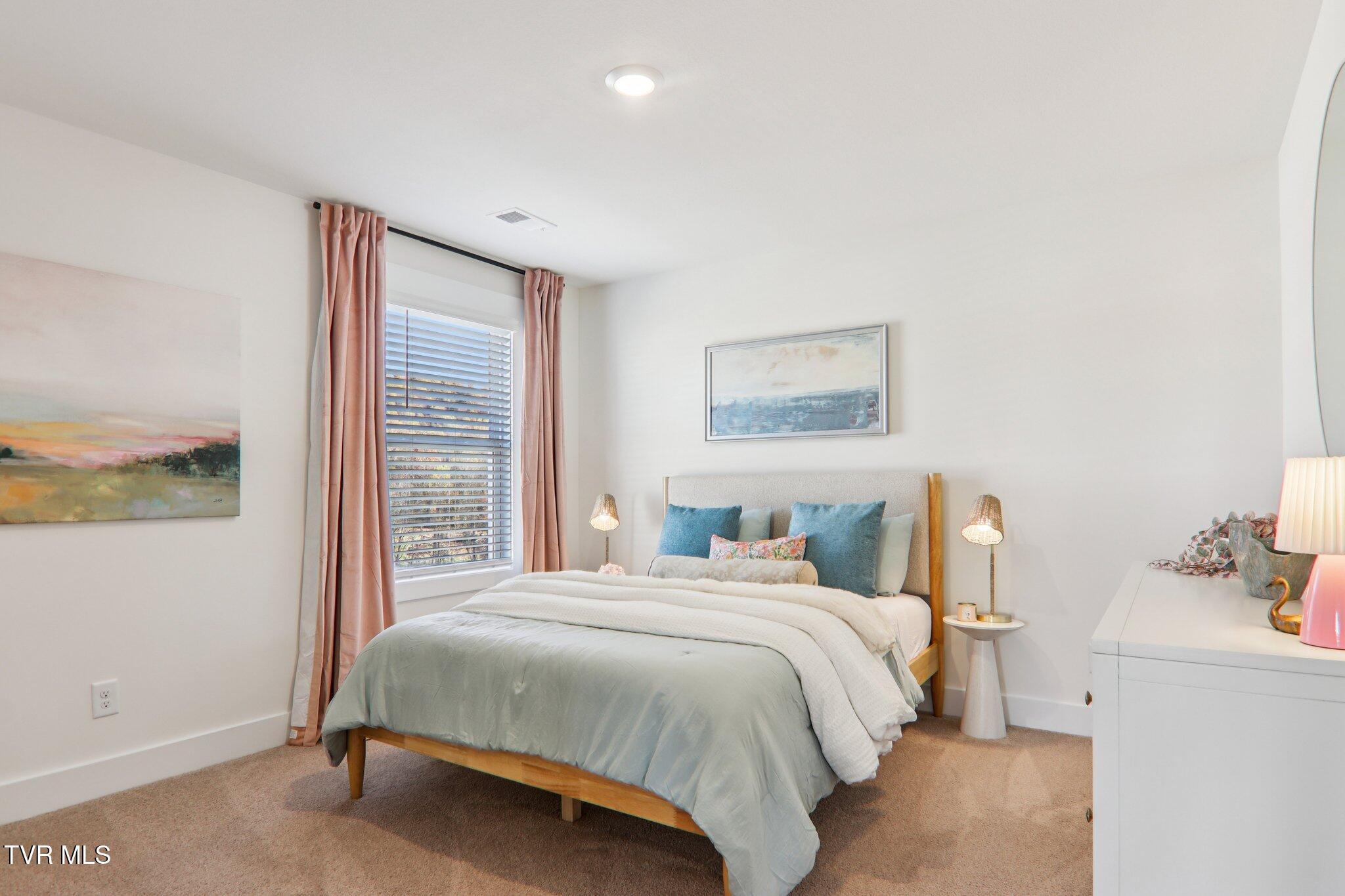 591 Fieldcrest Road Blountville, TN 37617 - Photo 41 of 45 46-web-or-mls-Chimney Vw Lp-S0511-046