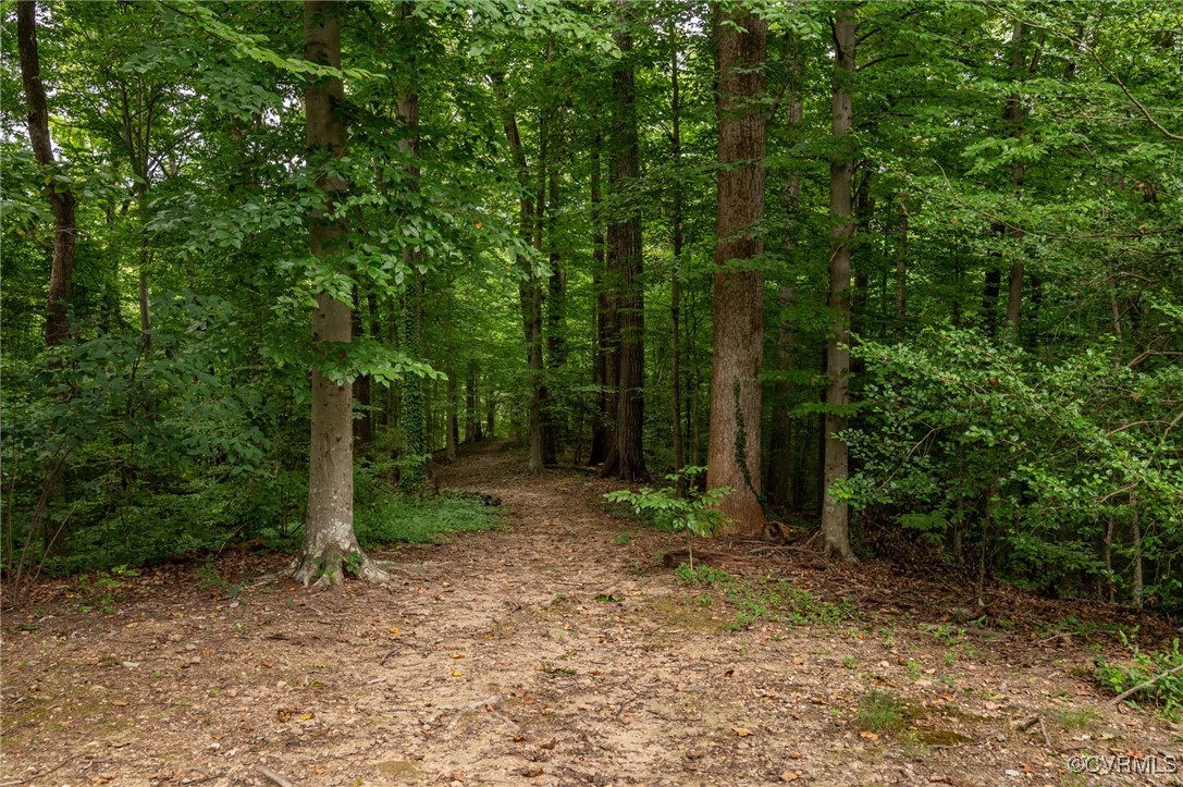 10174 Iron Mill Road North Chesterfield, VA 23235 - Photo 19 of 19 a view of a forest filled with trees