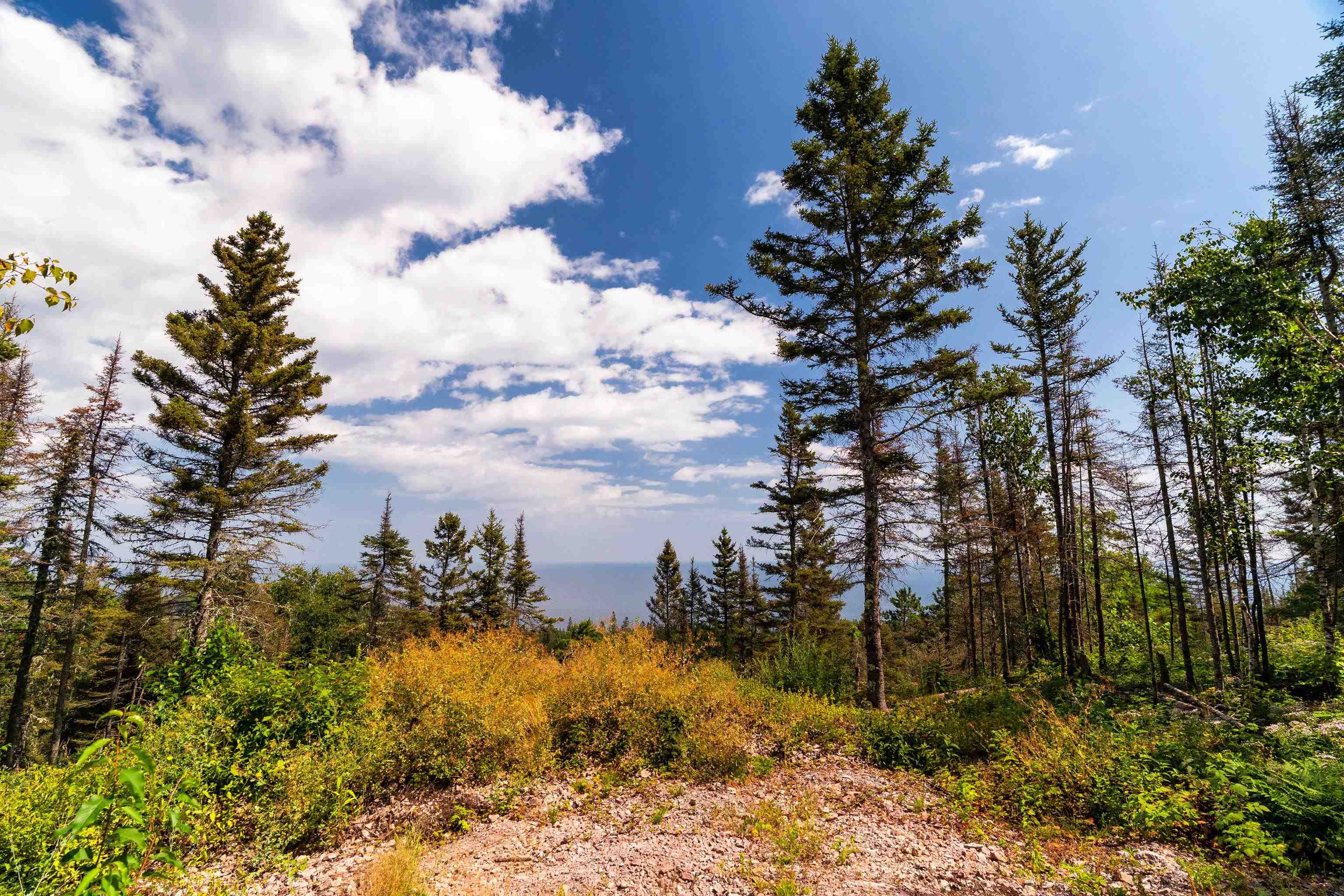 5731 Illgen Pines Road Silver Bay, MN 55614 - Photo 19 of 39