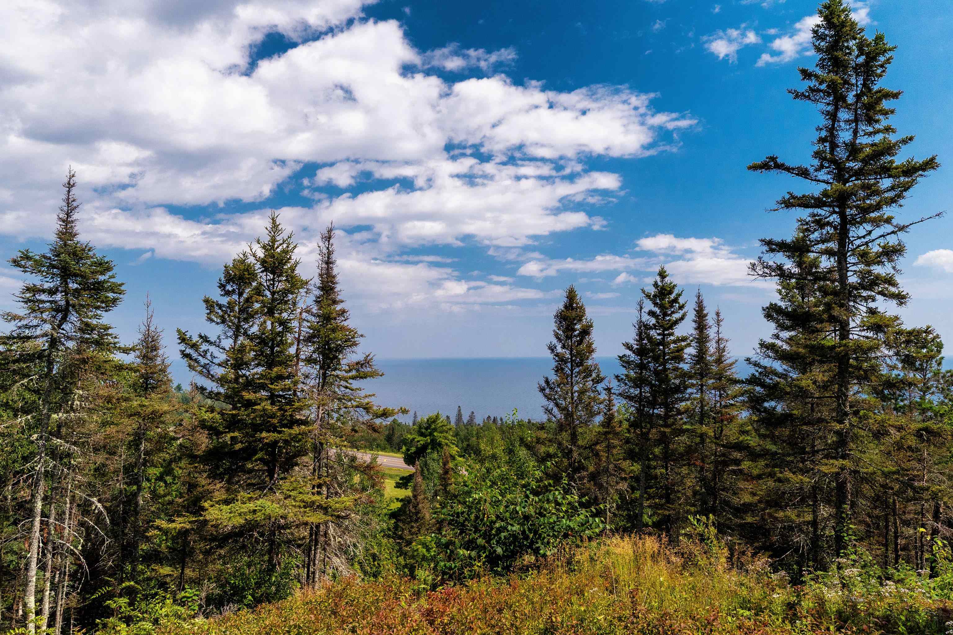 5731 Illgen Pines Road Silver Bay, MN 55614 - Photo 20 of 39