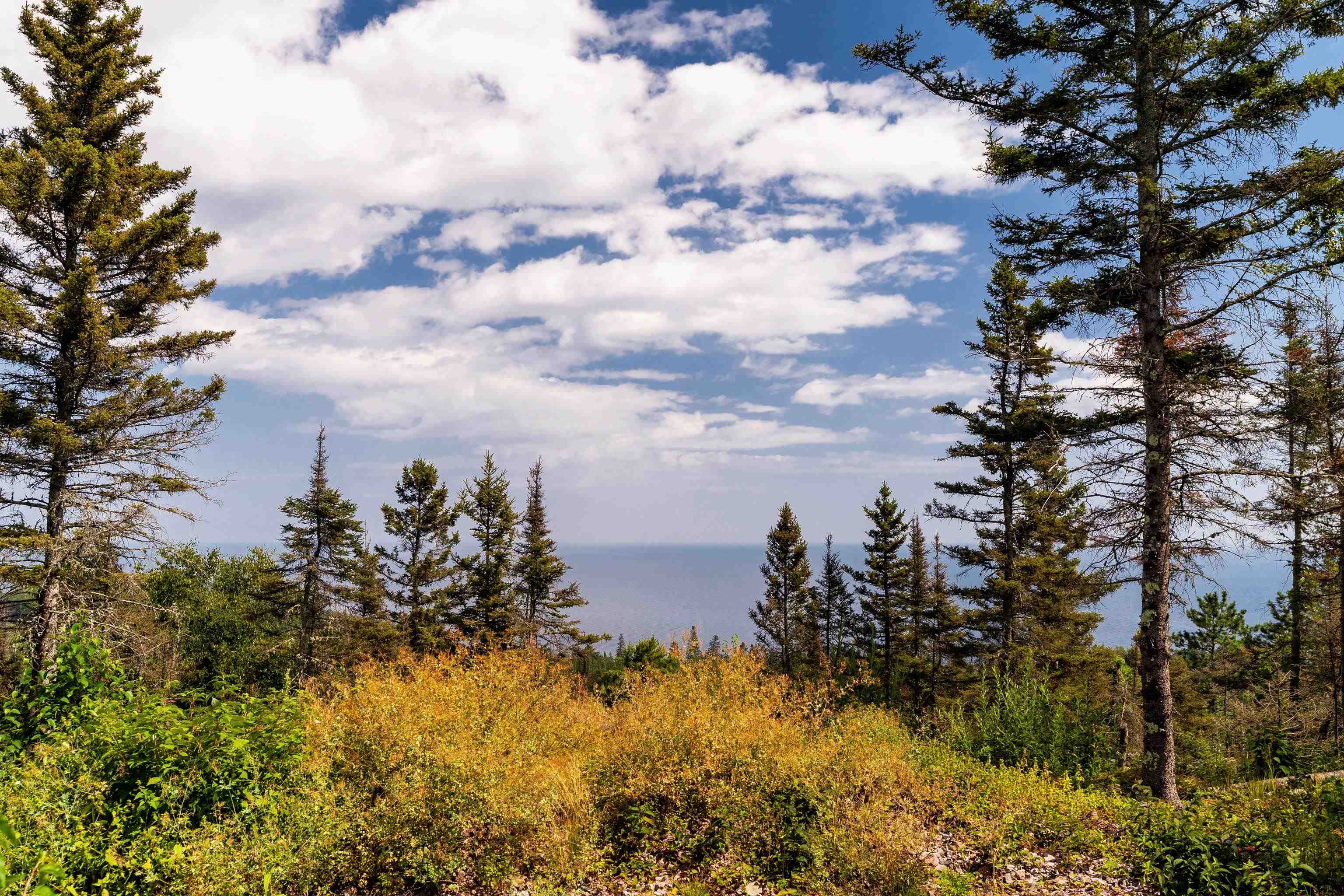 5731 Illgen Pines Road Silver Bay, MN 55614 - Photo 2 of 39