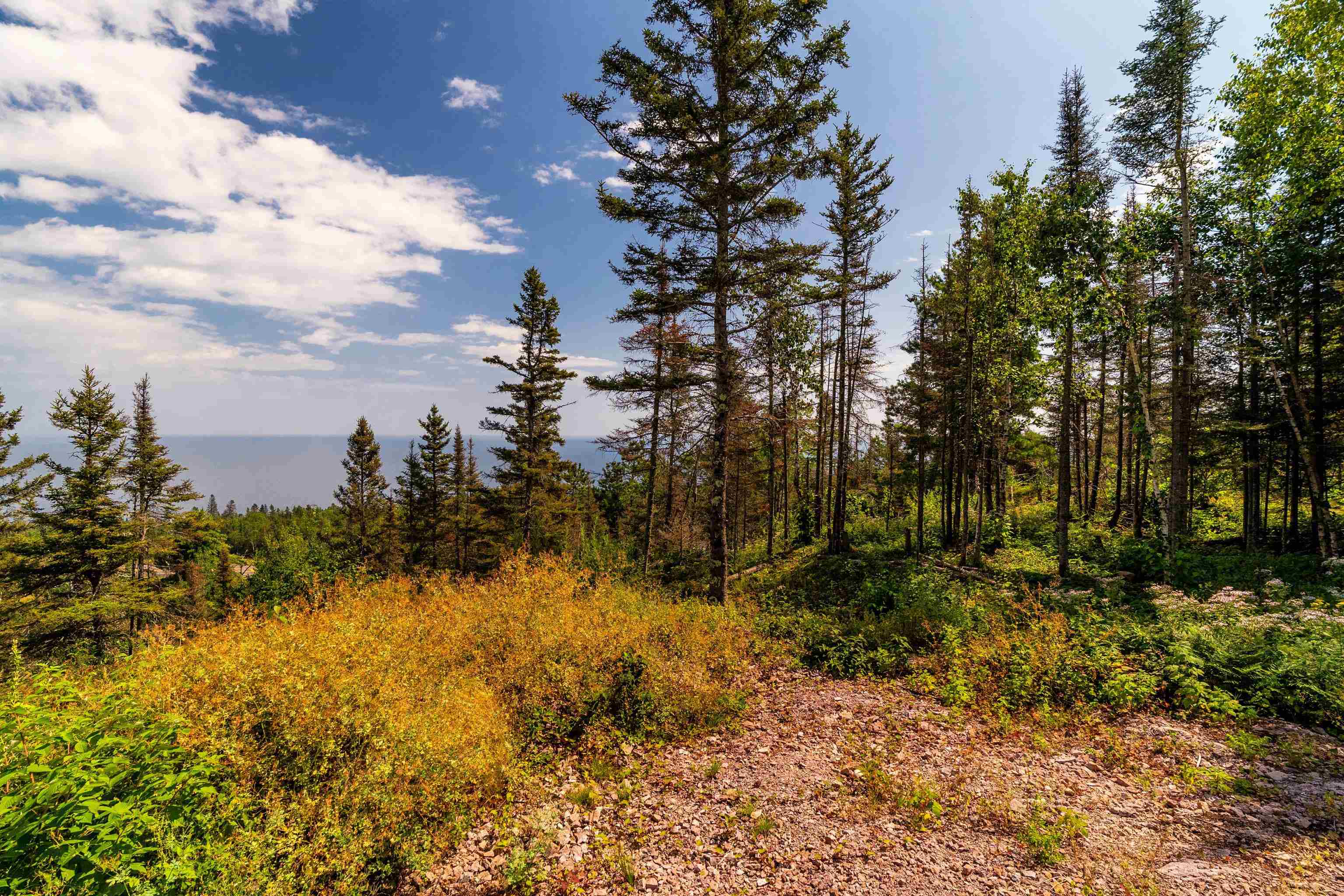 5731 Illgen Pines Road Silver Bay, MN 55614 - Photo 22 of 39