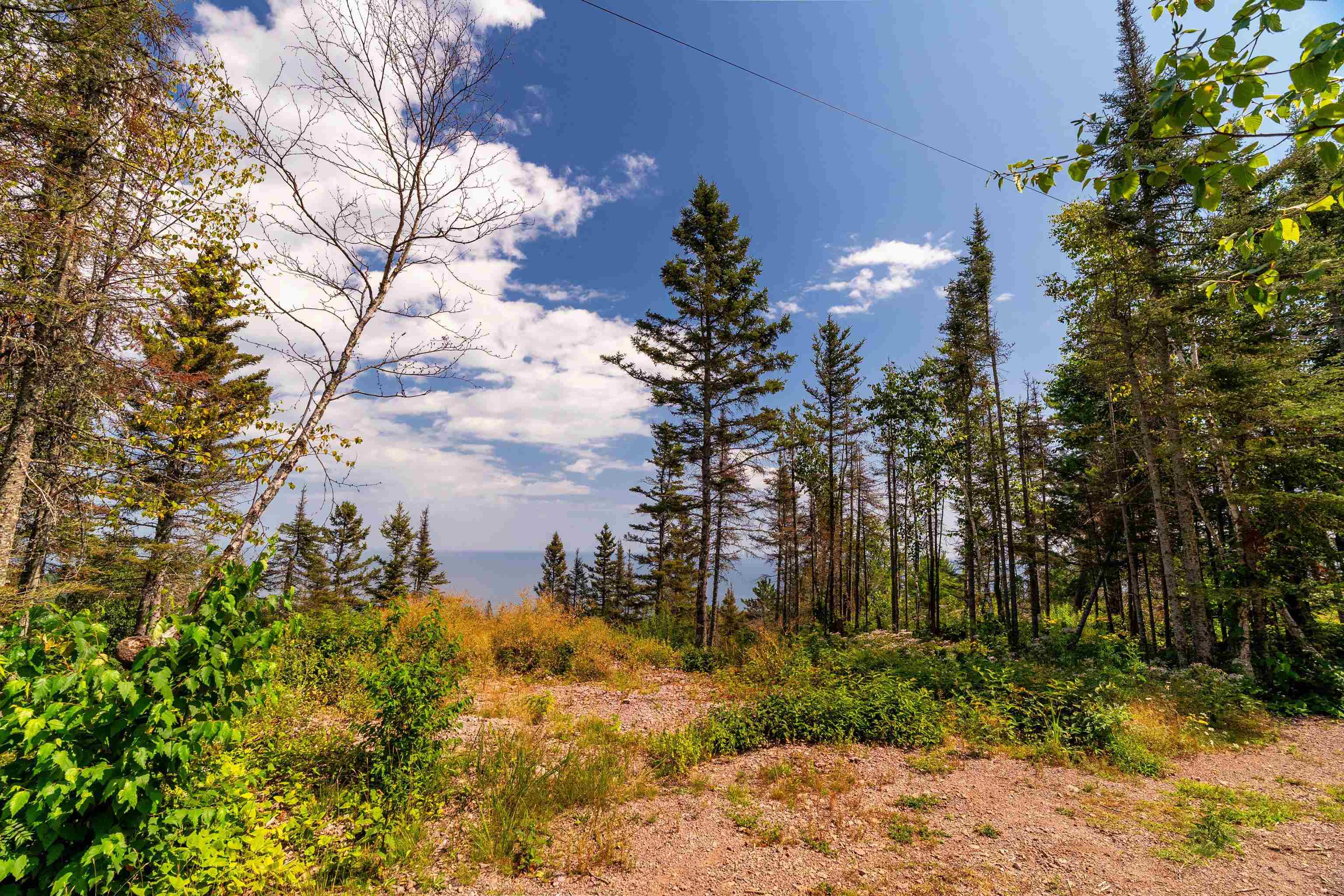 5731 Illgen Pines Road Silver Bay, MN 55614 - Photo 23 of 39