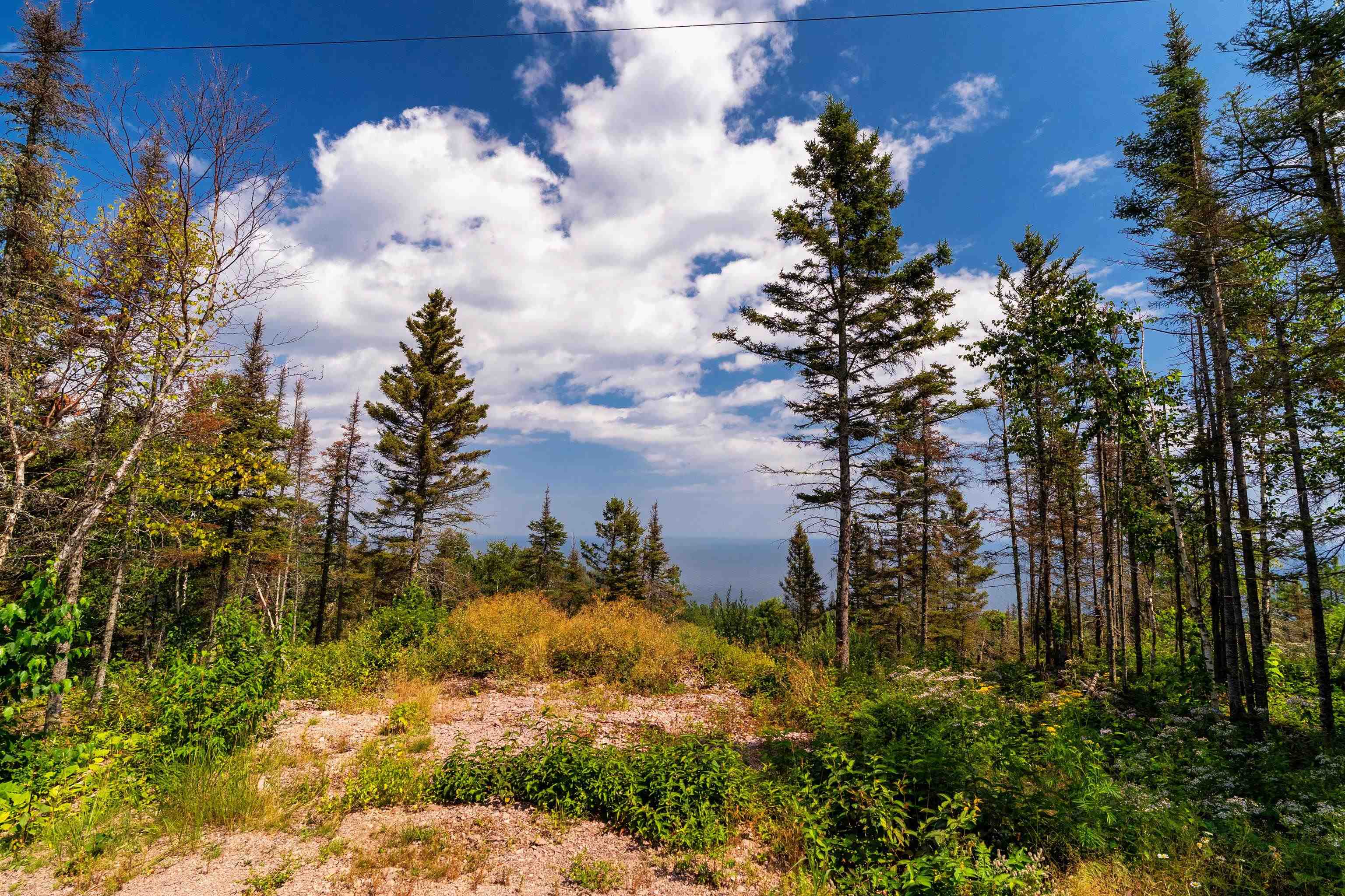 5731 Illgen Pines Road Silver Bay, MN 55614 - Photo 24 of 39